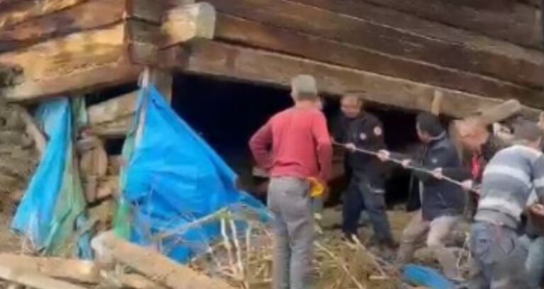 Kastamonu’da ağıl çöktü: Sağım yapan bayan ve onlarca hayvan göçük altında can verdi