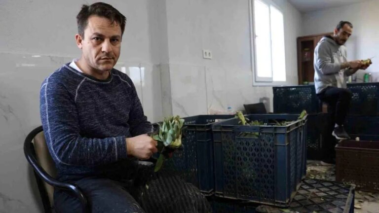 Sezonluk iş için Aydın’a akın ettiler: Gelirleri asgari ücretin 4 katı