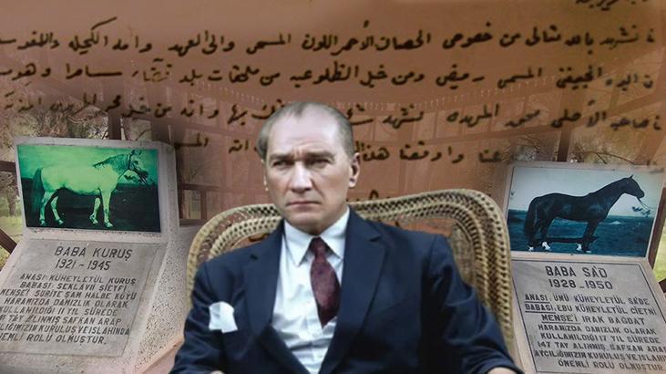 Atatürk’ün ‘Bulun’ emri verdiği safkan! Kömür madeninde bulundu, soyu pistlerde koşuyor