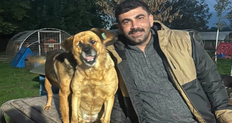 Hayvanlar için çaba etti, çetelerin tehdidiyle karşı karşıya kaldı
