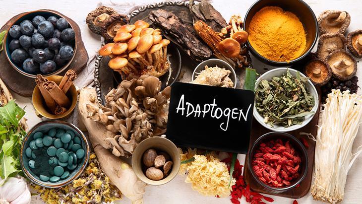 Modern hayat yoruluyor! Adaptojenler stresi azaltıyor mu?