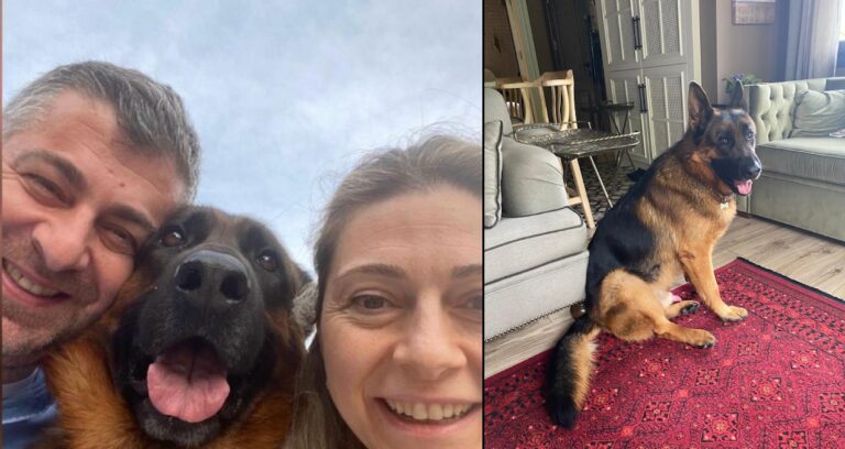 25 gündür kayıp olan Santos’u bulana 100 bin TL ödül verilecek