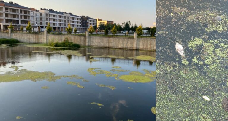 Akarçay alarm veriyor: AKP’li belediyenin “temizlik” söylemi manzaralara yansımadı