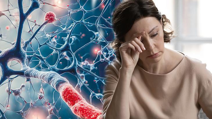 Bedenimizin kimyasal habercileri! Uzun yaşamın sırrı 7 hormonda saklı