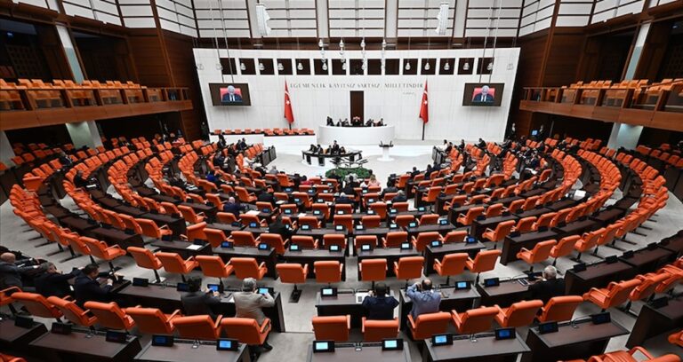 Erişim manisi TBMM’de
