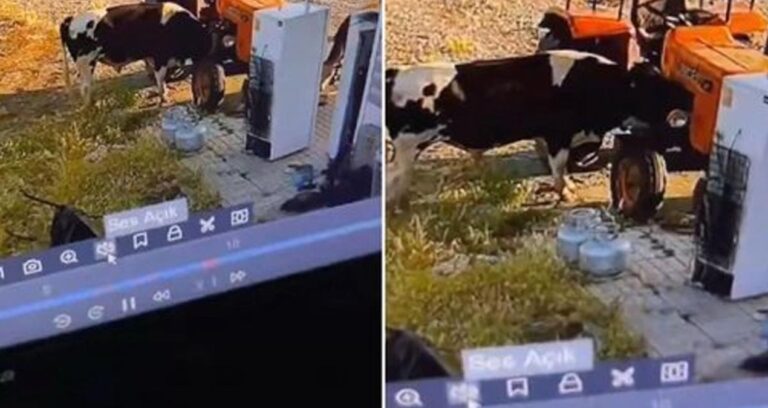 Manzarası olmasa kimsenin inanmayacağı bir olay