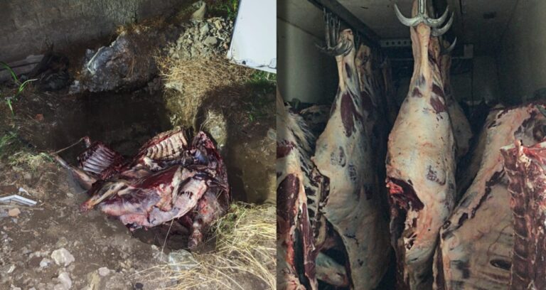 Sakarya’da mide bulandıran görüntü! Hepsini vatandaşa yedireceklerdi