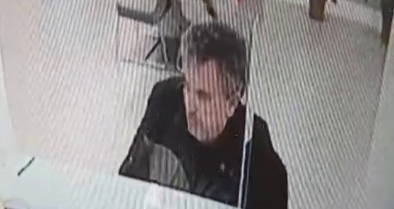 Sarsıntı sandılar, gerçek çok diğer çıktı! Bankada gökten kedi yağdı