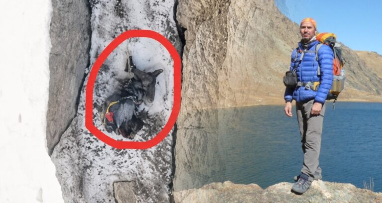 5 günlük arayış acı bitti: Dağcı Yüksel Işık’ın asılı kaldığı yer dronla görüntülendi