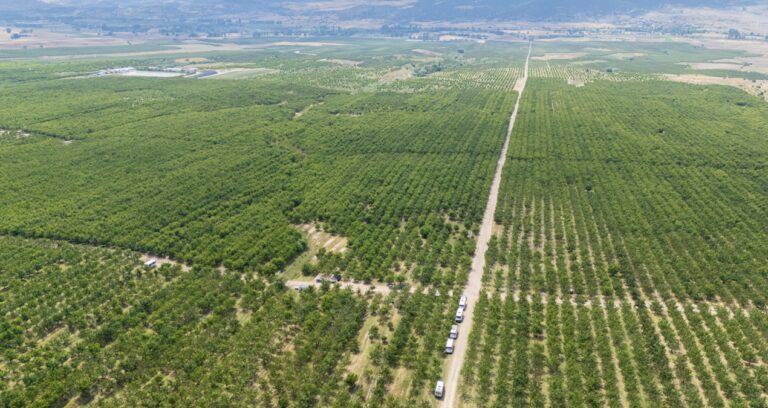 Hudutları kaldırınca köyün yazgısı değişti: Üretim 30 kat arttı