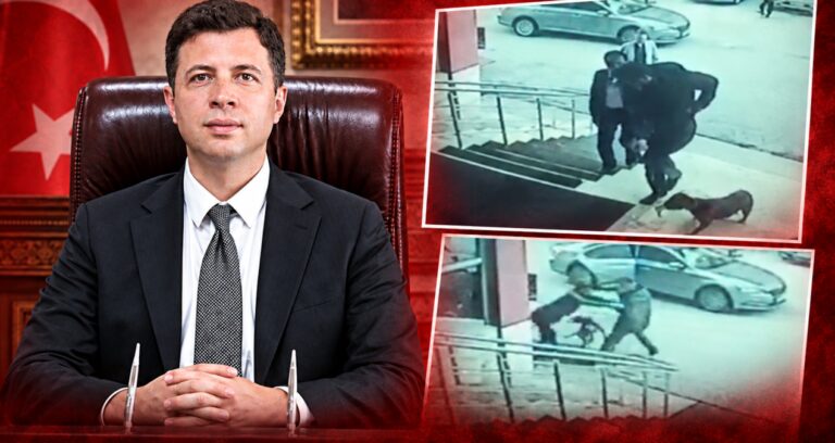 Köpek tekmeleyen kaymakama soruşturma