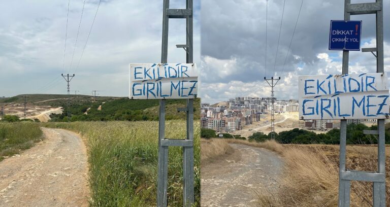 Konteyner yasak rant özgür