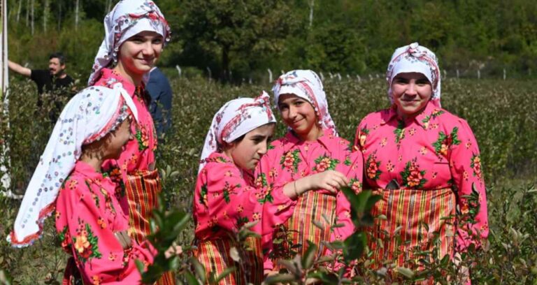 Bir fidan dikip köşeyi döndüler: Yıllardır boş kalan tarlada paraya para demiyorlar