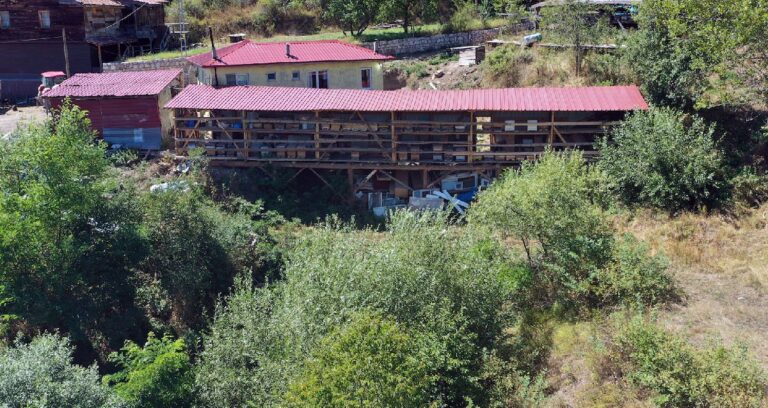 Herkes köyü terk etti o gitmedi: Yılda 600 tonla servet kazanıyor