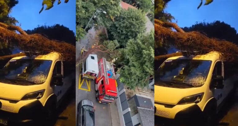 Kadıköy’de fırtına dehşeti! Ağaç öğrenci servisinin üzerine devrildi