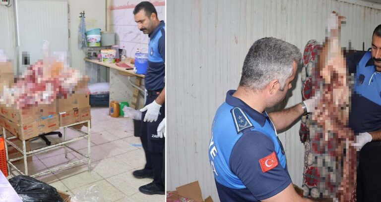 Pes dedirten imajlar: Yakalanmasalardı vatandaş bunları yiyecekti