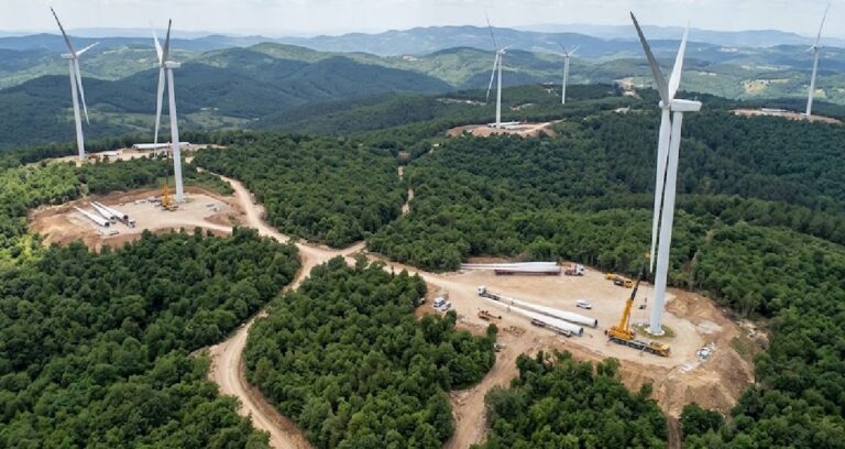 Türkiye’nin 25 milyon metrekare ormanına dev panelleri dizecekler