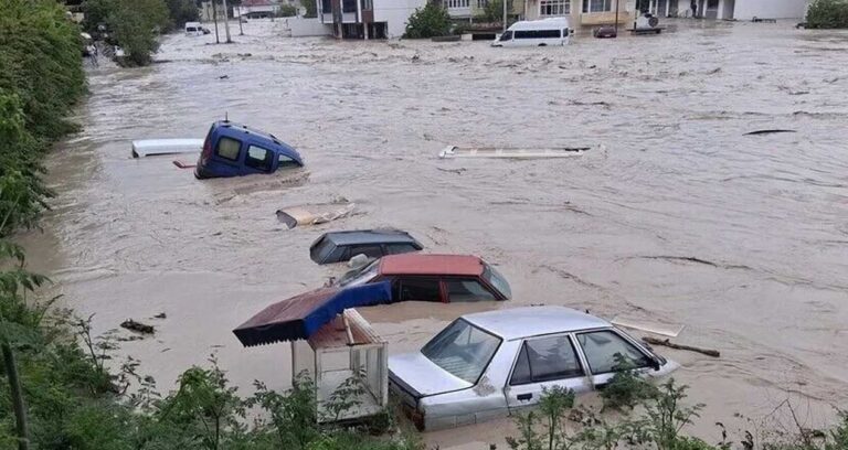 Toprağın suya doygun olması ne demek, toprak suya doyarsa ne olur?